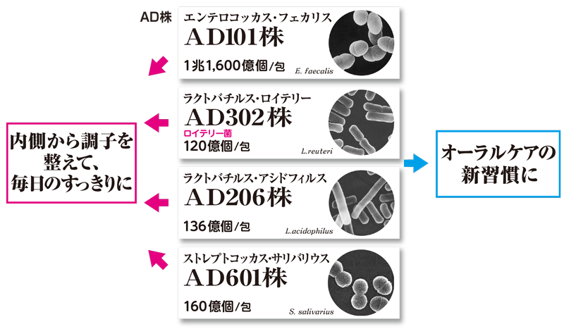 内側から調子を整えて、毎日のスッキリに。