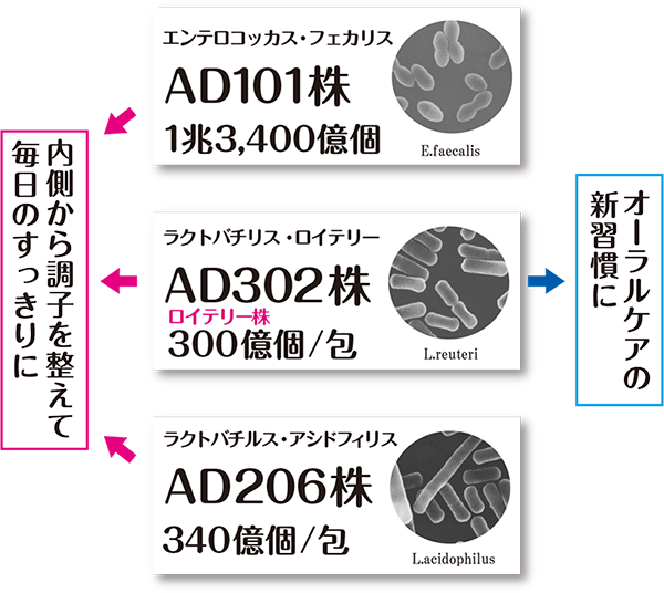 内側から調子を整えて、毎日のスッキリに。