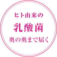 ヒト由来の 乳酸菌腸の奥まで届く