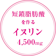 短鎖脂肪酸を作るイヌリン4,500mg配合