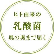 ヒト由来の 乳酸菌腸の奥まで届く