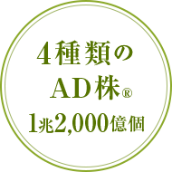 1包あたり4種類のAD株1兆2,000億個含有