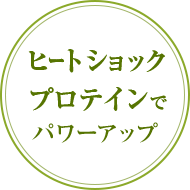 ヒートショックプロテインでパワーアップ